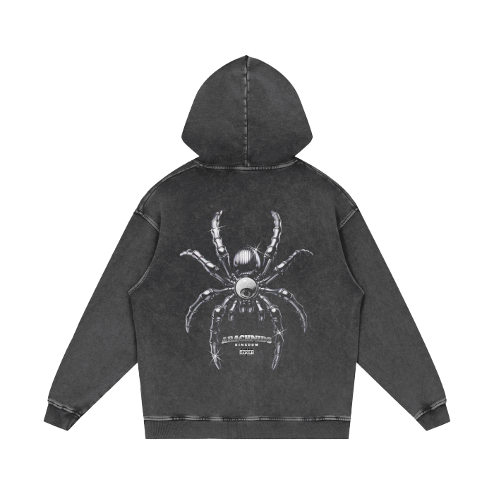 Arachnids Kingdom Vintage Oversize Hoodie